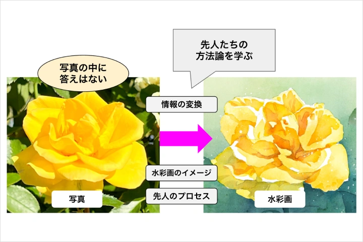 Coloso イラストレーター 加藤アカツキ