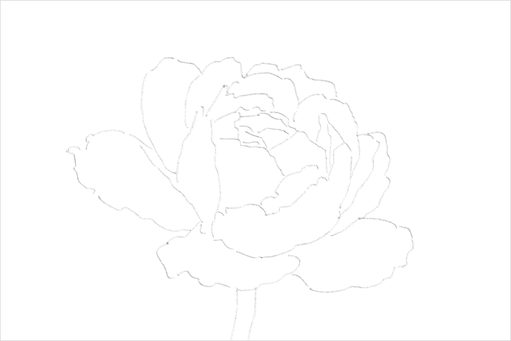 Coloso イラストレーター 加藤アカツキ