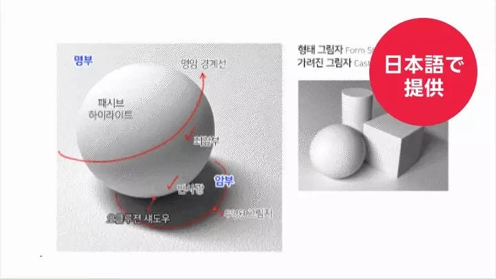 kr-llustrator-ayoung-curriculum-02-1.webp