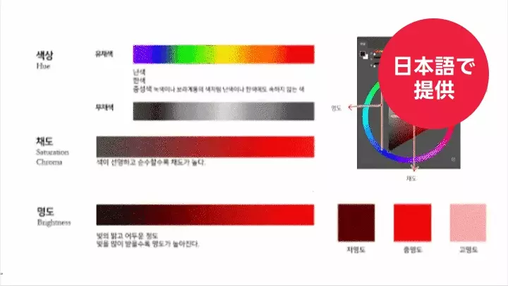 kr-llustrator-ayoung-curriculum-02-2.webp