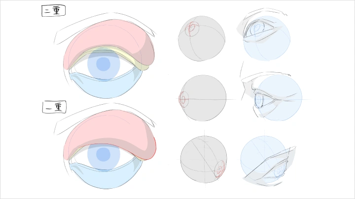 curriculum-freeanimator-hide2-jp-04.webp