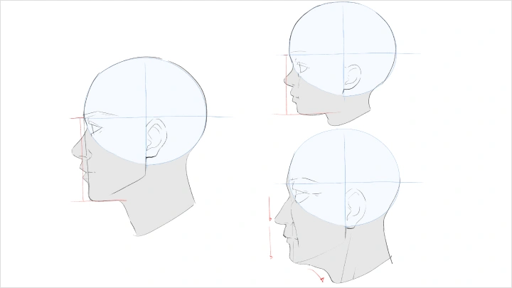 curriculum-freeanimator-hide2-jp-05.webp