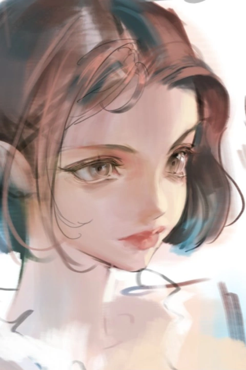 Illustrator Jida
