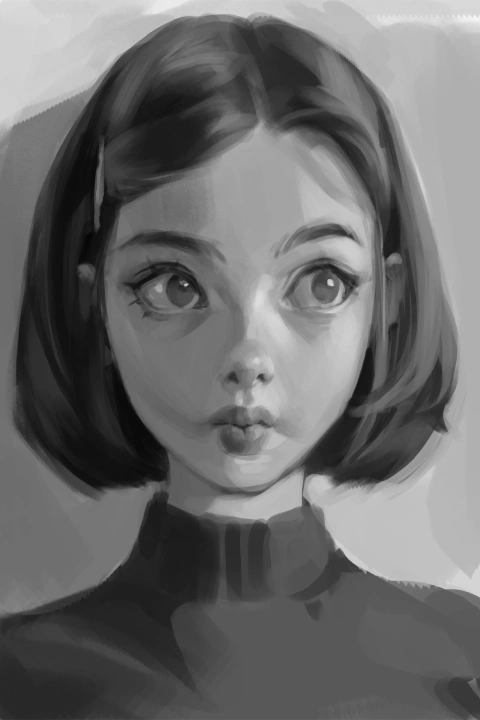 Illustrator Jida