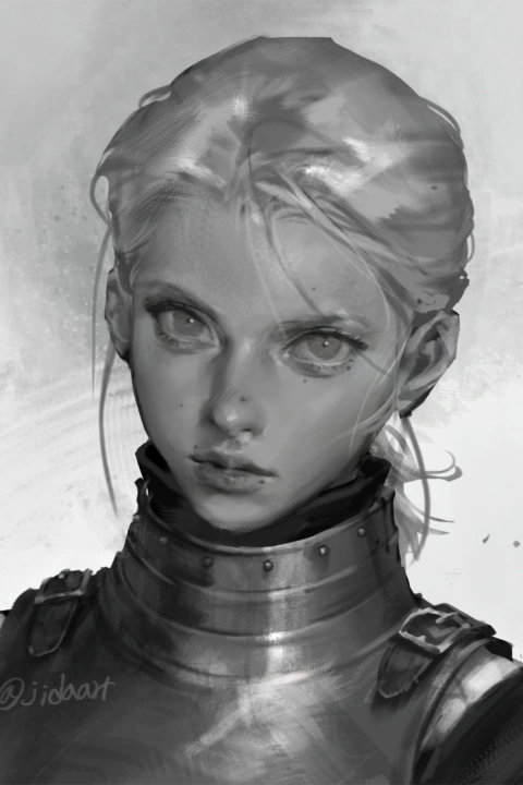 Illustrator Jida