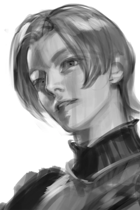 Illustrator Jida