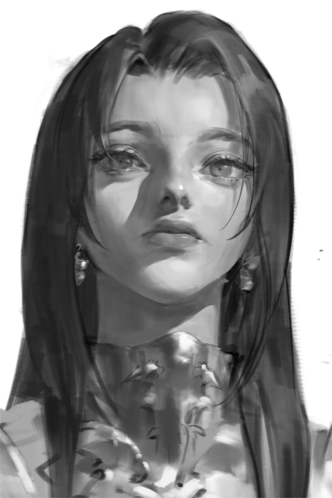 Illustrator Jida