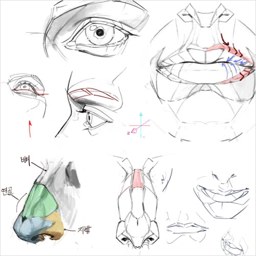 Illustrator Jida