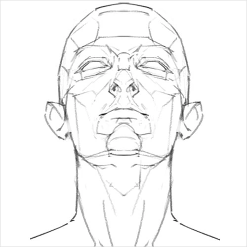 Illustrator Jida