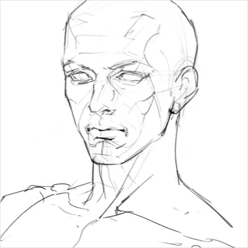 Illustrator Jida