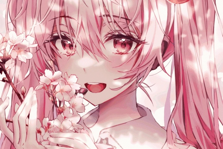 Illustrator Hae0