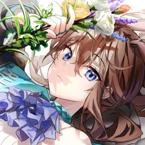 Illustrator Hae0