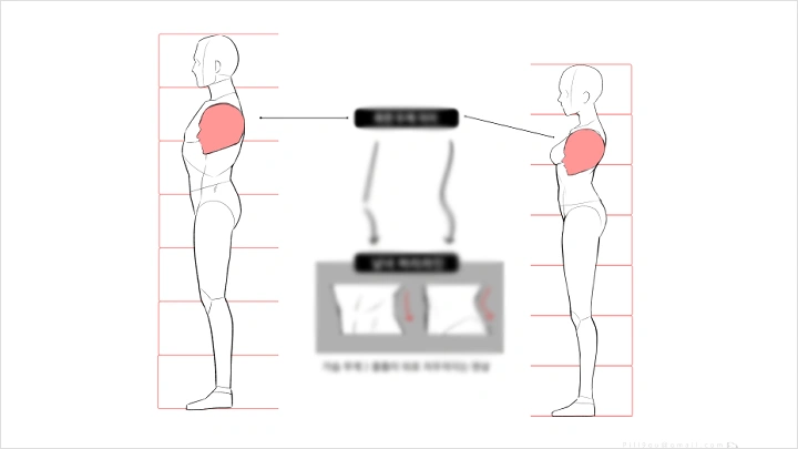 curriculum-illustrator-pill9-02-1.webp