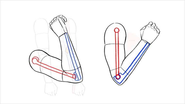 curriculum-illustrator-pill9-04-2.webp