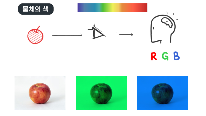 curriculum-illustrator-ryeomi-4-2.webp