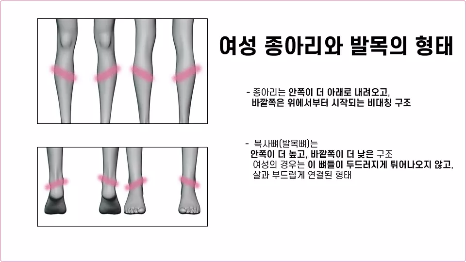 ImageSlide<span style="color: #1e1e1e;"><b>랜드마크로 알려주는 몸 을 볼때 중요한 기준점들</b></span>