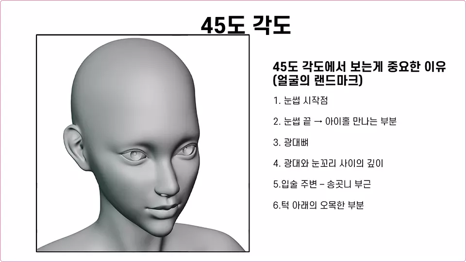 ImageSlide<span style="color: #1e1e1e;"><b>얼굴을 잘 보는 법 – 관찰의 기준 만들기</b></span>