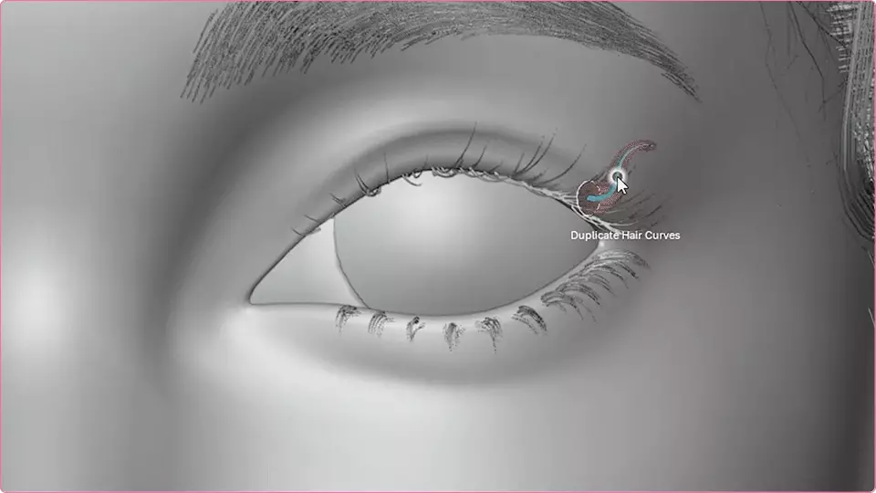 ImageSlide<span style="color: #1e1e1e;"><b>속눈썹</b></span>