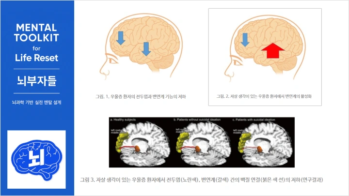 curriculum-creator-brainrich-01-3.webp