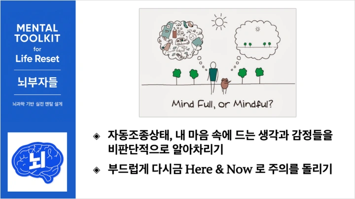 curriculum-creator-brainrich-04-1.webp