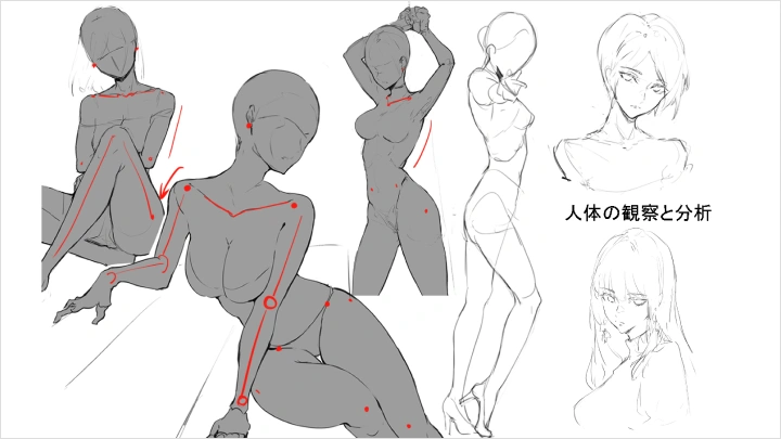 curriculum-illustrator-marumoru2-jp-section03.webp