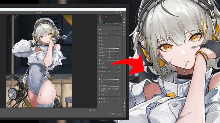 curriculum-illustrator-marumoru2-jp-section08.webp
