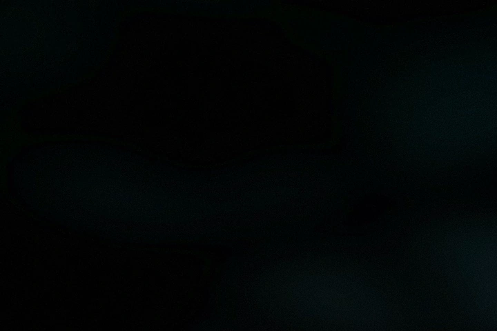 모션그래픽디자이너 Starcover2
