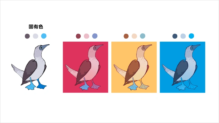 curriculum-illustrator-mmong03-1.webp