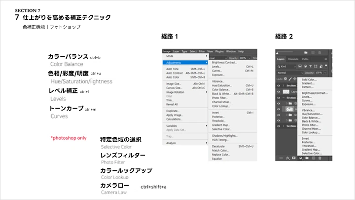 illustrator-ayoung-jp-curriculum-07.webp