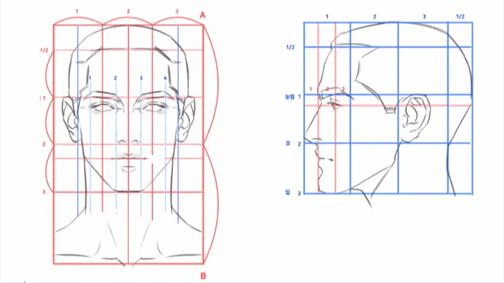illustrator-ayoung-jp-curriculum-3.webp