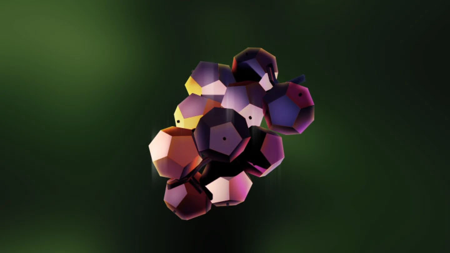 curriculum_motiongraphic_starcover2_02_1.webp