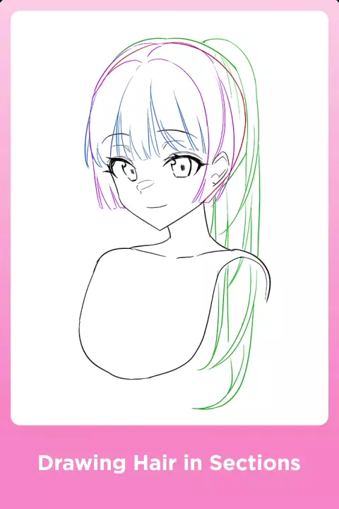 Illustrator Hae0