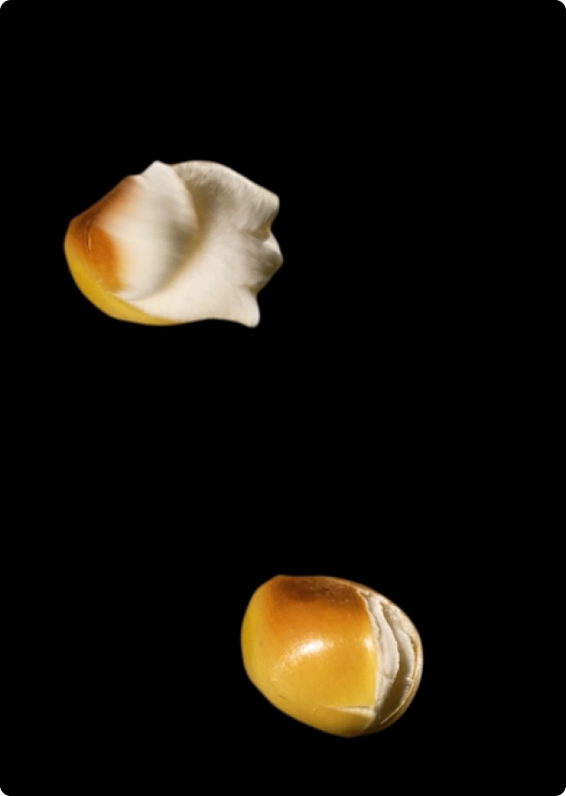 ImageSlide<b>핵심 장면 한 컷 선택</b>