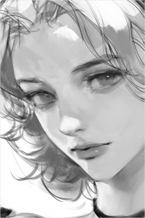 Illustrator Jida