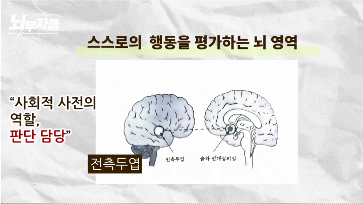 정신과의사 뇌부자들