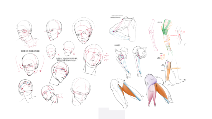 curriculum-illustrator-duckchun-02.webp