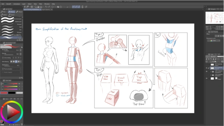 curriculum-timbougami-16.webp