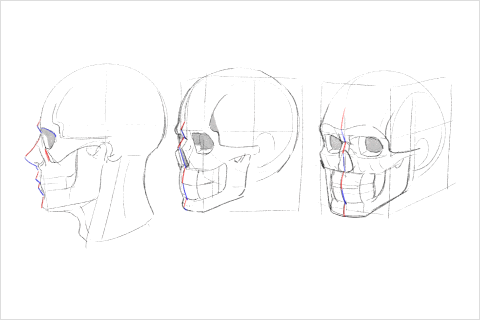 Illustrator hide