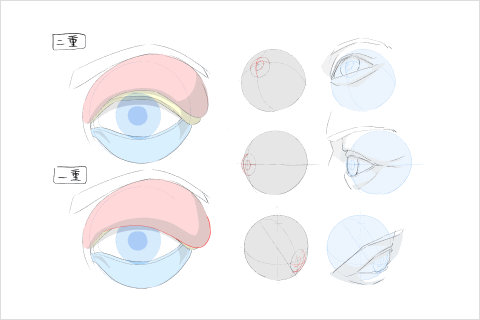 Illustrator hide