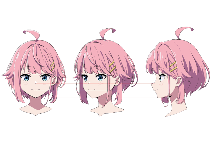 Illustrator hide