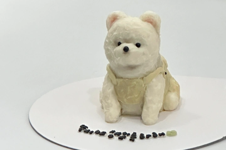반려동물 케이크 전문가 왈테이블