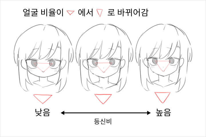 일러스트레이터 카사