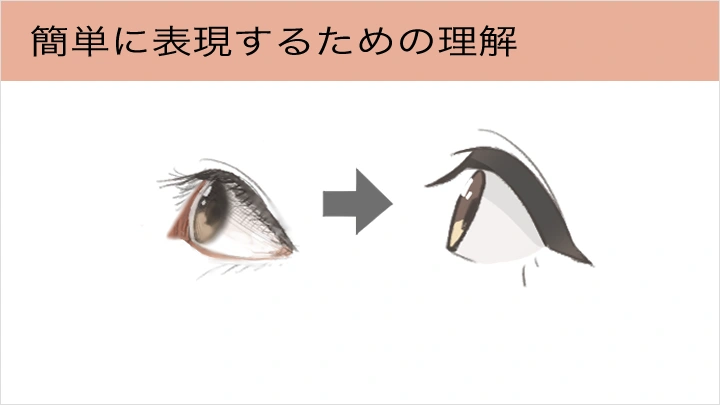 curriculum-illustrator-siwaa-jp-01.webp