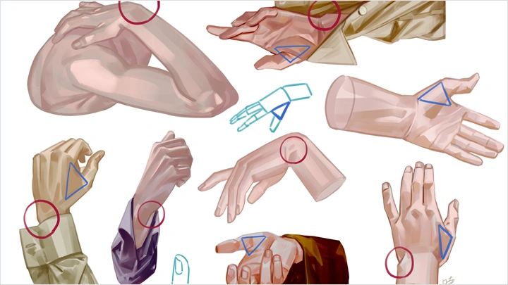 curriculum-illustrator-saiga-jp-03.webp