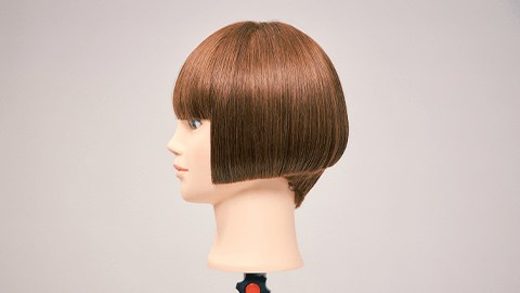 coloso-hair-kimsanghee-curriculum4.png