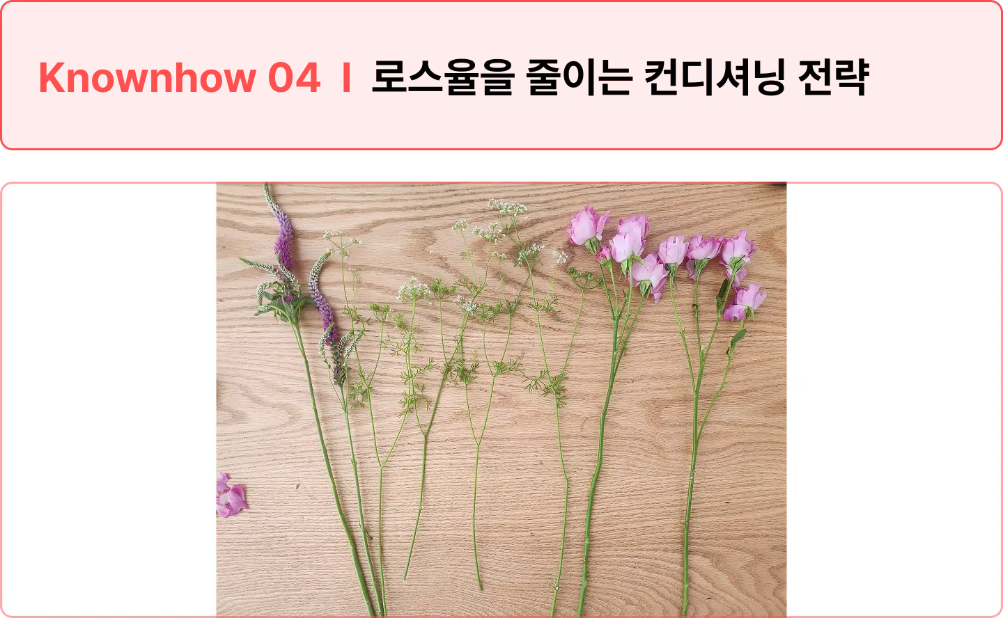 ImageSlide<span style="color:#474A3F;">한 대의 꽃이라도 더 잘쓰기 위해 <br> 신경 쓰는 포인트와 버리는 것 없이 재료를 쓰는 과정</span>