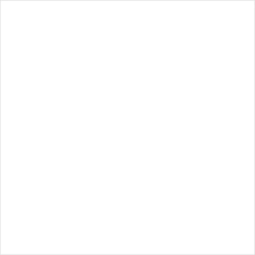 롤스토리디자인연구소 대표 우디
