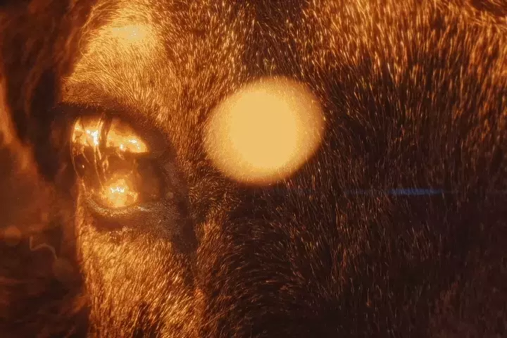 VFX Artist Infinite VFX