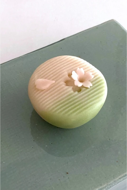 바이온림 대표 이민정