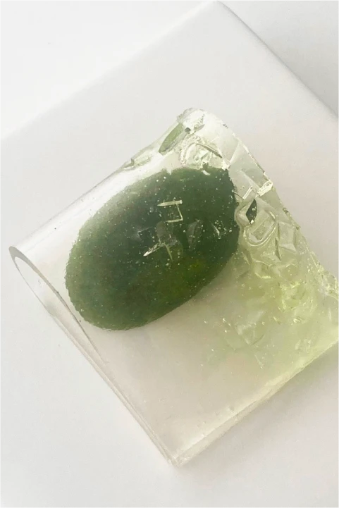 바이온림 대표 이민정